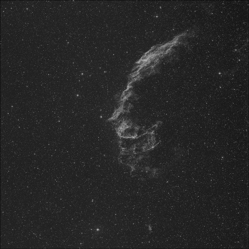 Velo Oriental, Nebulosa de la Red