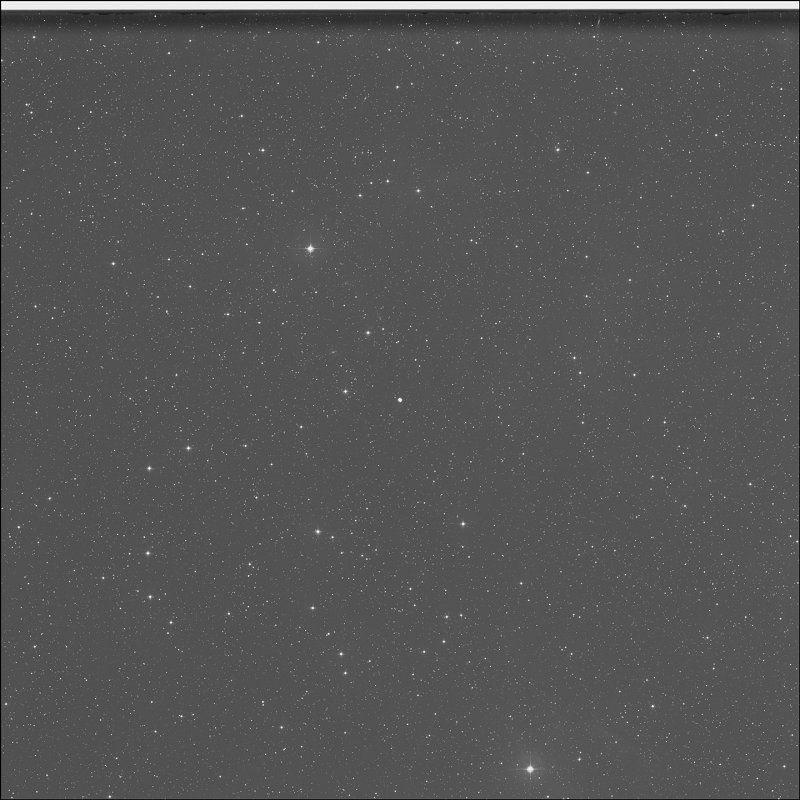 Bola de Nieve Azul de Copeland