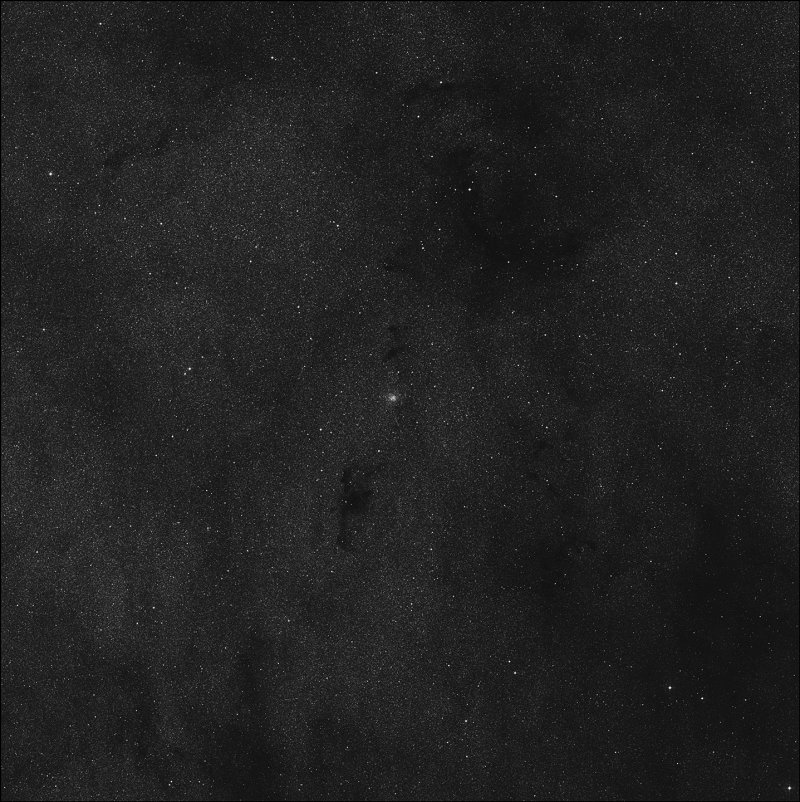 Barnard 81