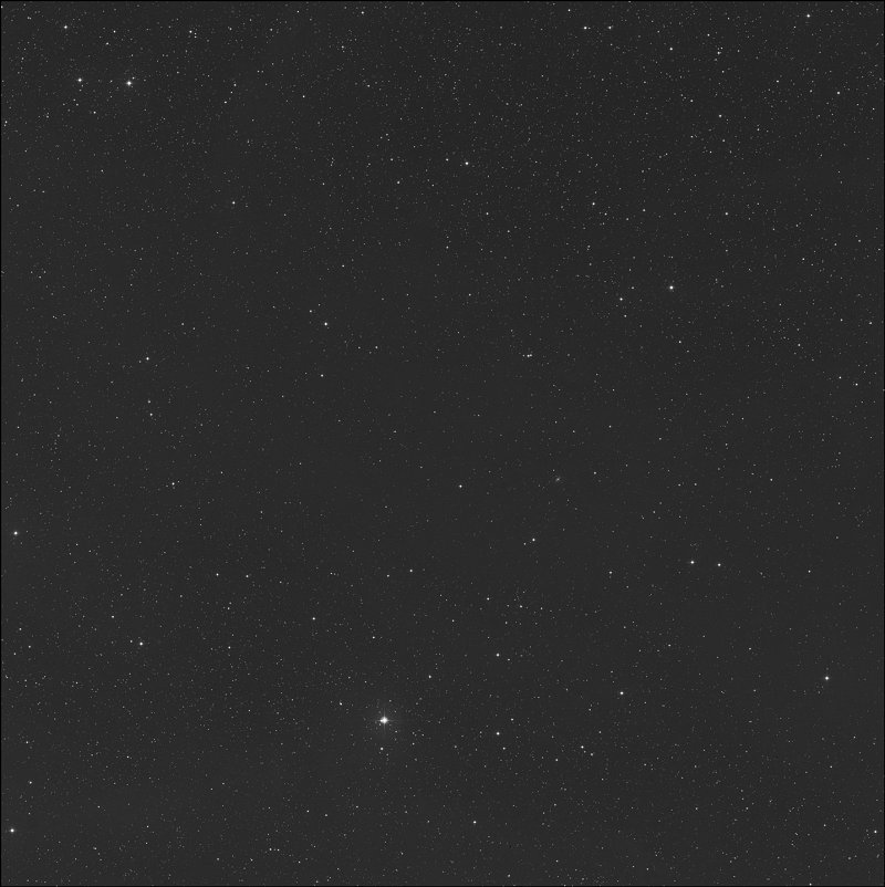 Barnard 219