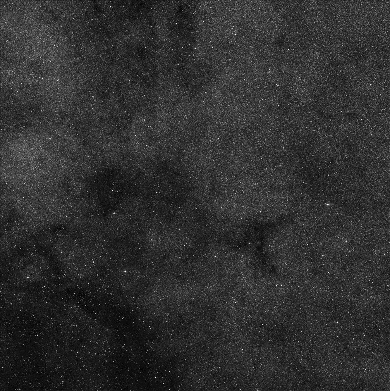 Barnard 254