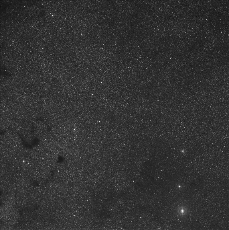 Barnard 255