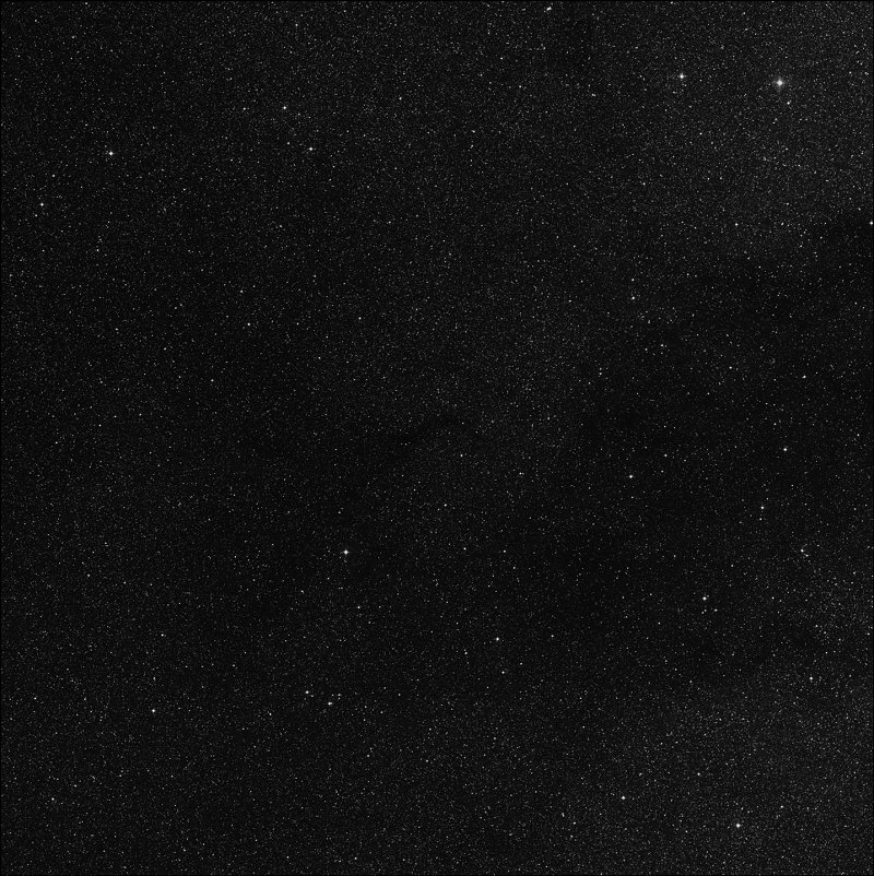 Barnard 313