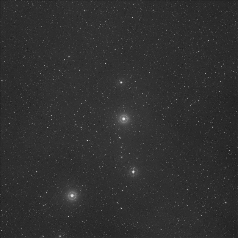 Sharpless 2-264, Sh2-264, Lambda Orionis Nebula