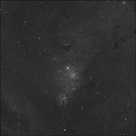 Sharpless 2-273, Sh2-273, Christmas Tree Cluster, Cone Nebula (Conus N.), X-mas Tree Cluster