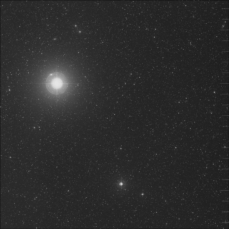 IC 2448