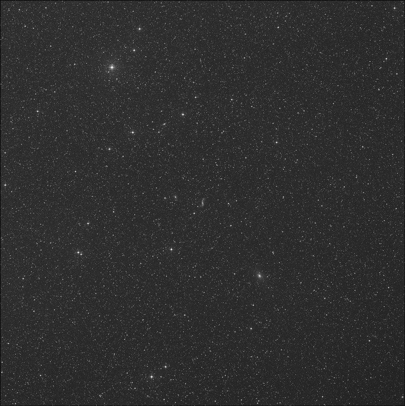 IC 2554