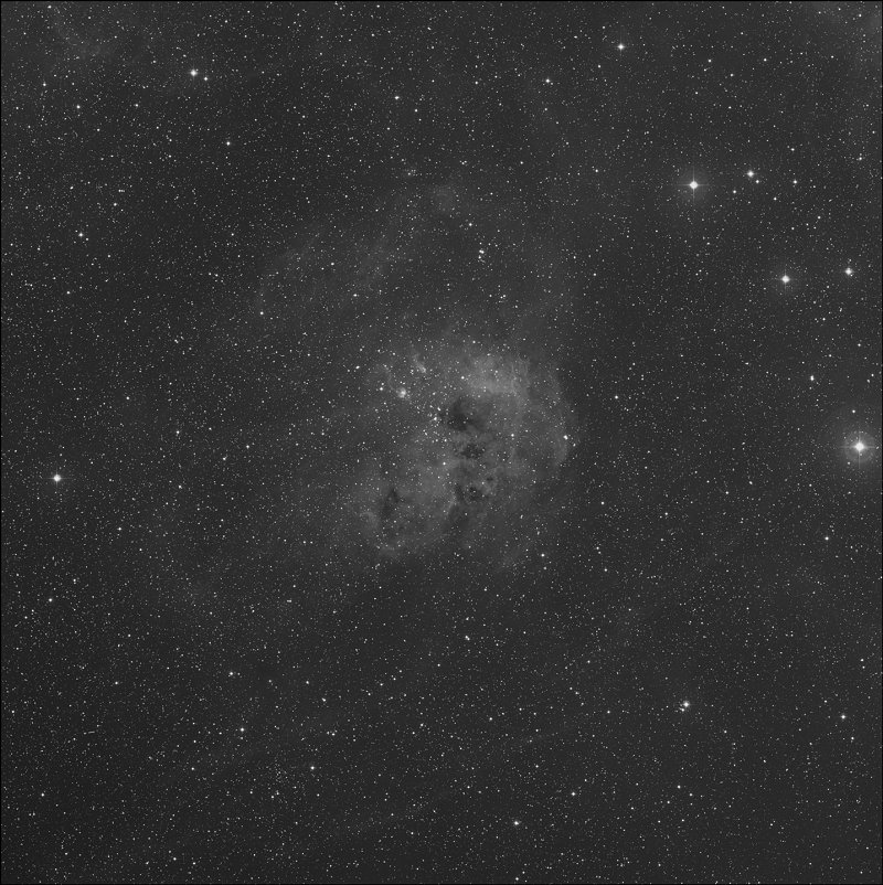 Nebulosa del Renacuajo