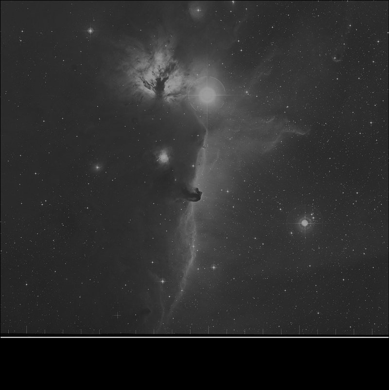 Nebulosa Cabeza de Caballo