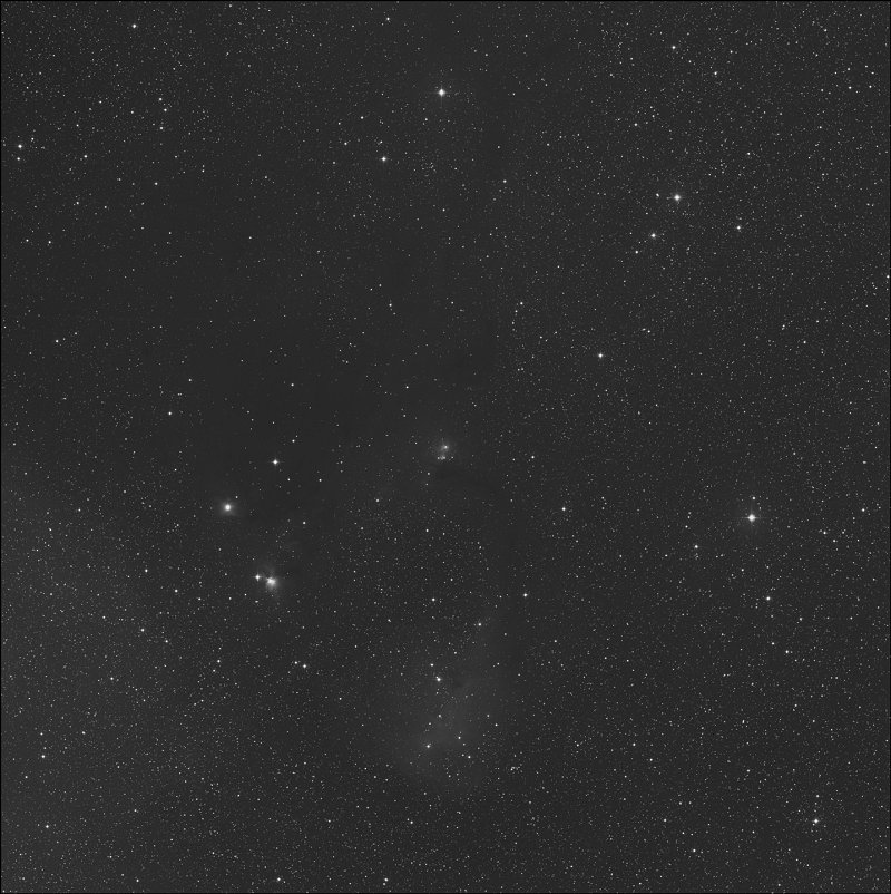 IC 446