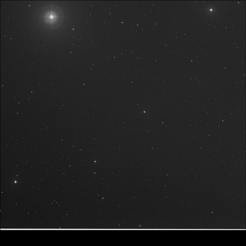 IC 4446