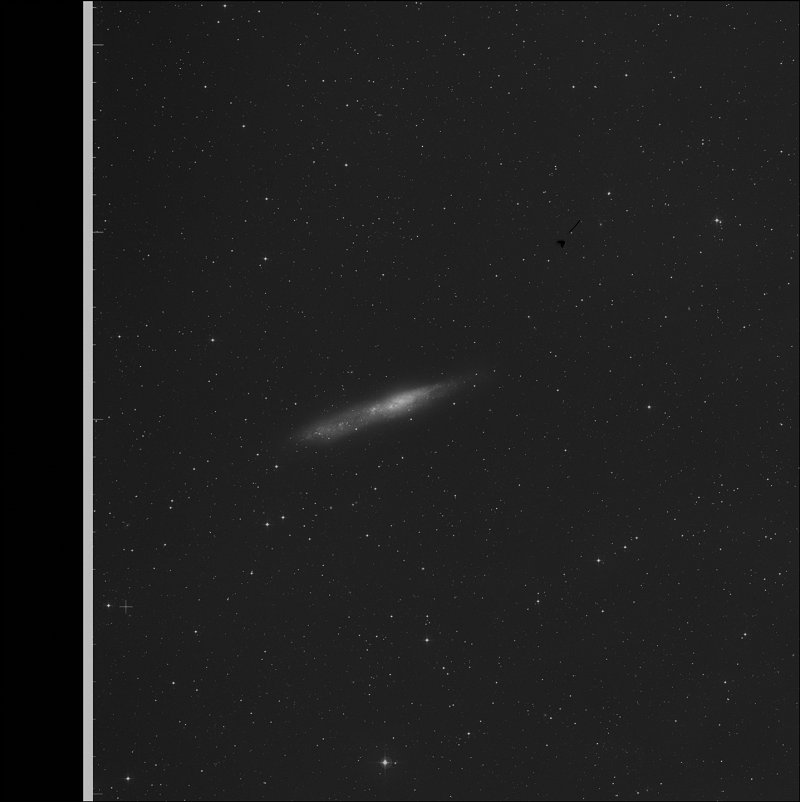 NGC 55 - Galaxia de la Ballena