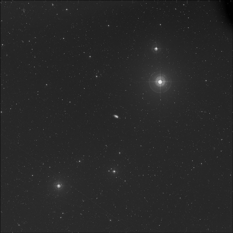 NGC 1559