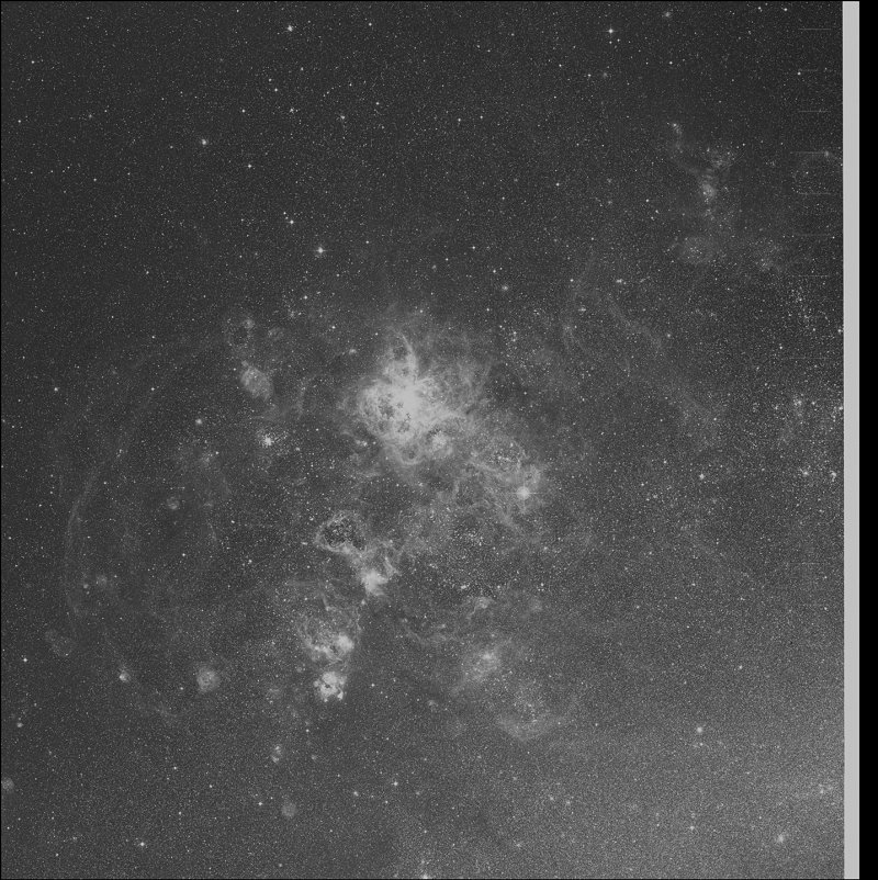 Nido de la Tarántula