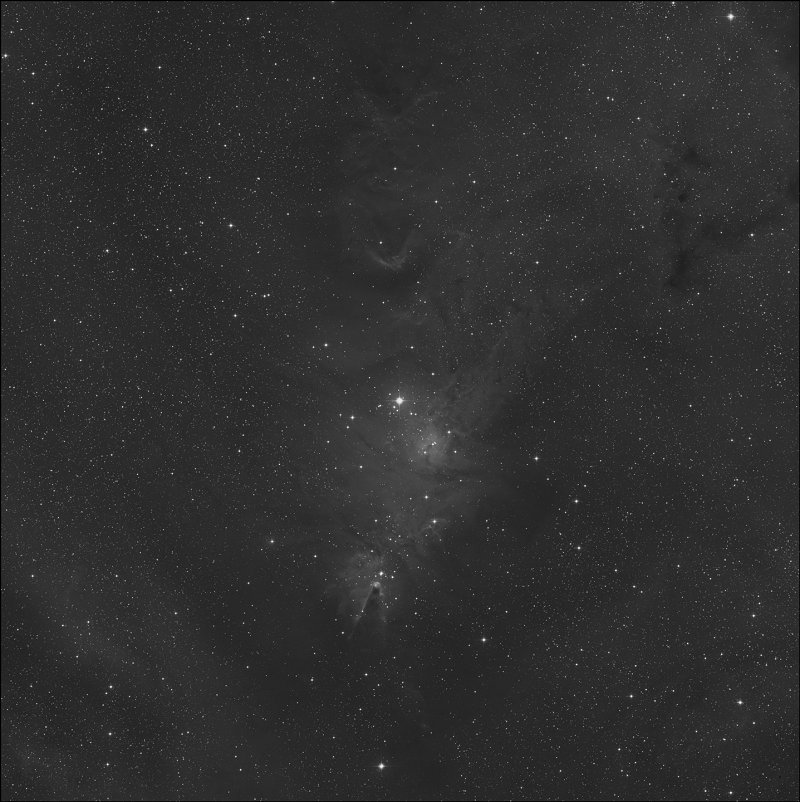 NGC 2264 - Nebulosa del Cono