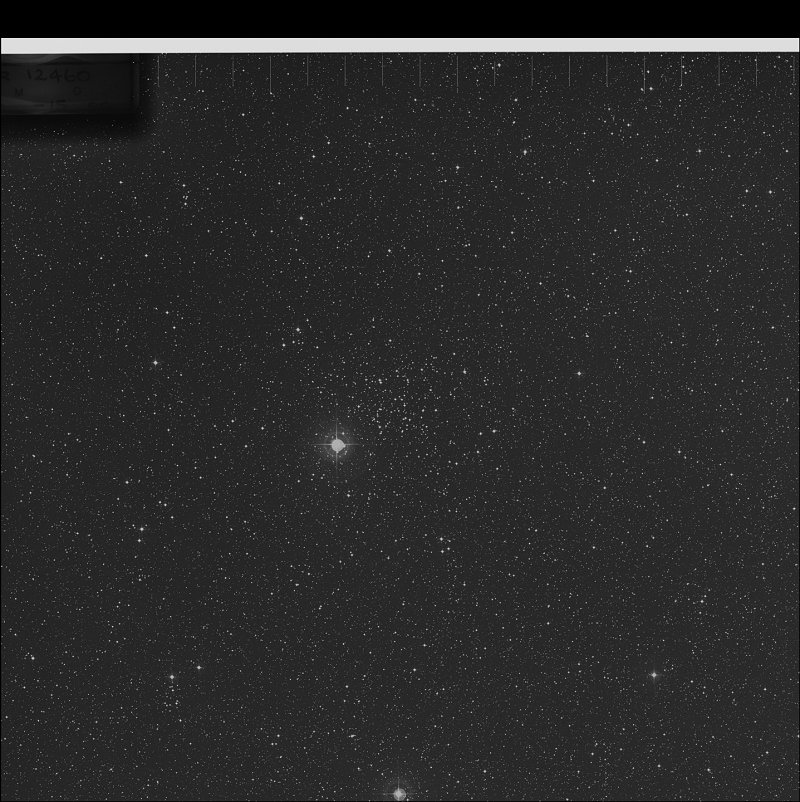 Cúmulo del Pez Payaso