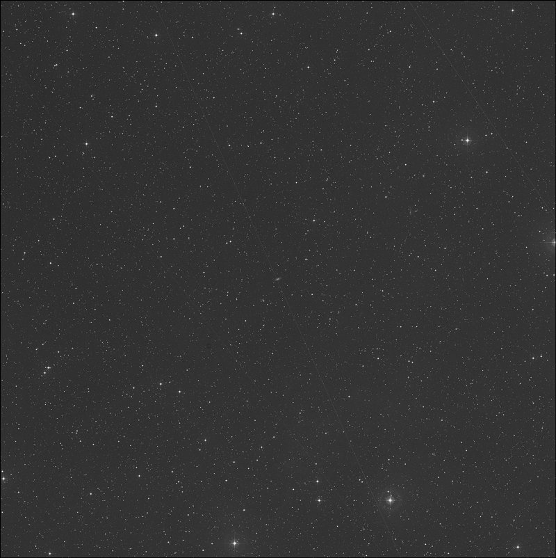 Polarissima Australis