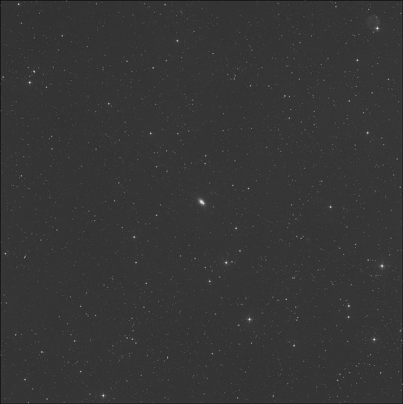 NGC 2974