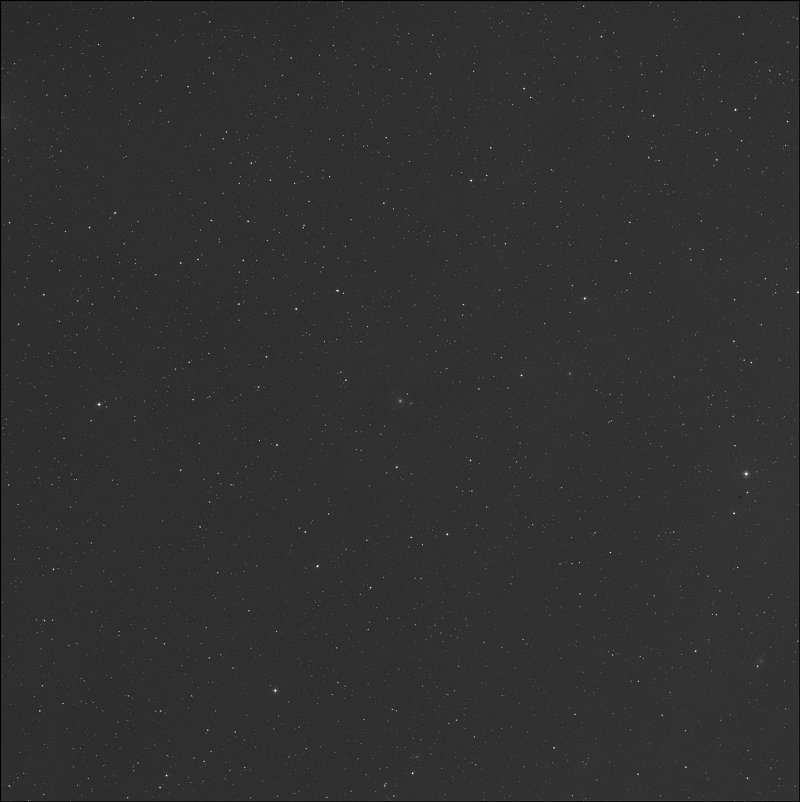 Polarissima Borealis