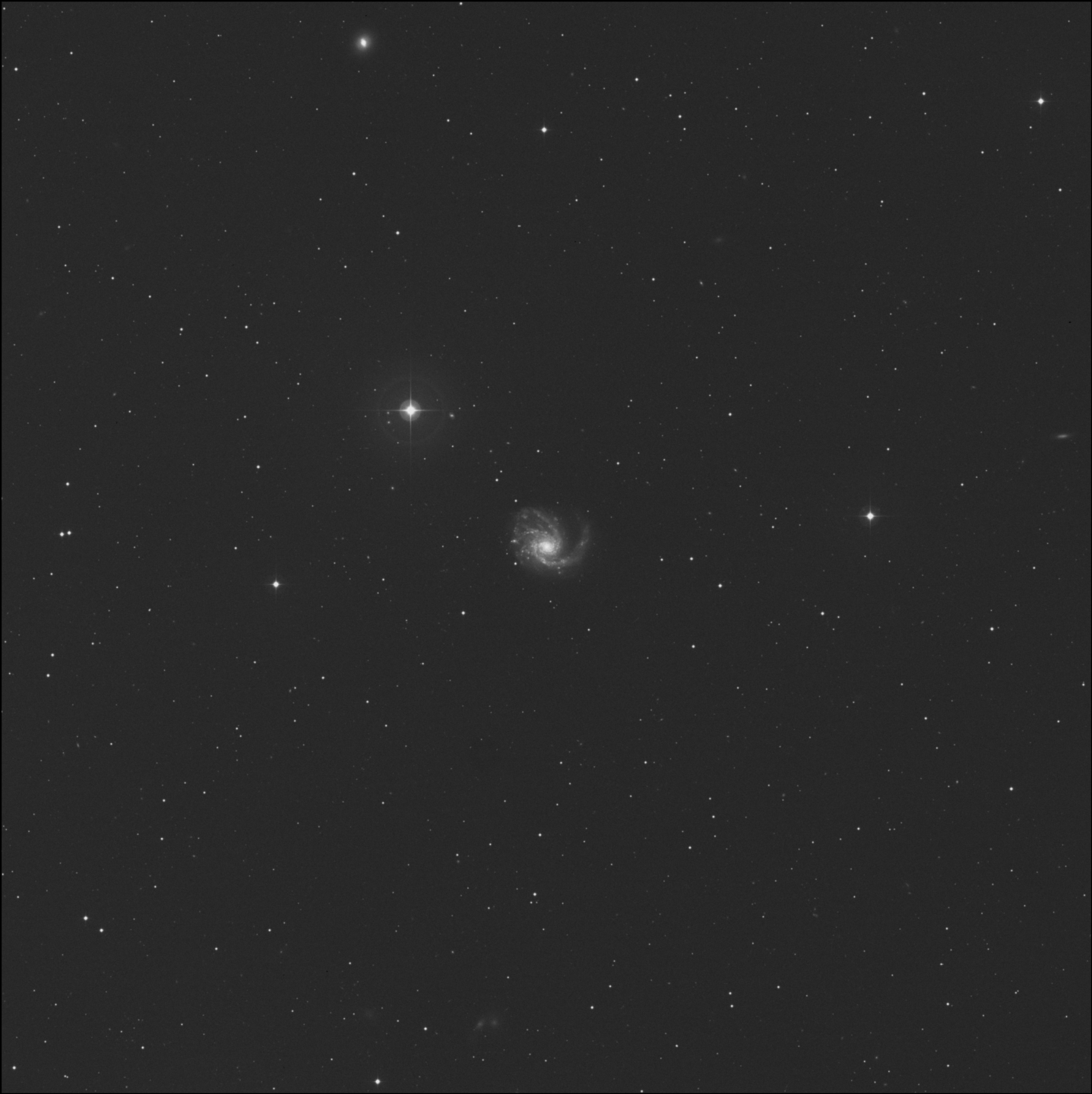 Molinillo de Coma, Molinillo del Cúmulo de Virgo