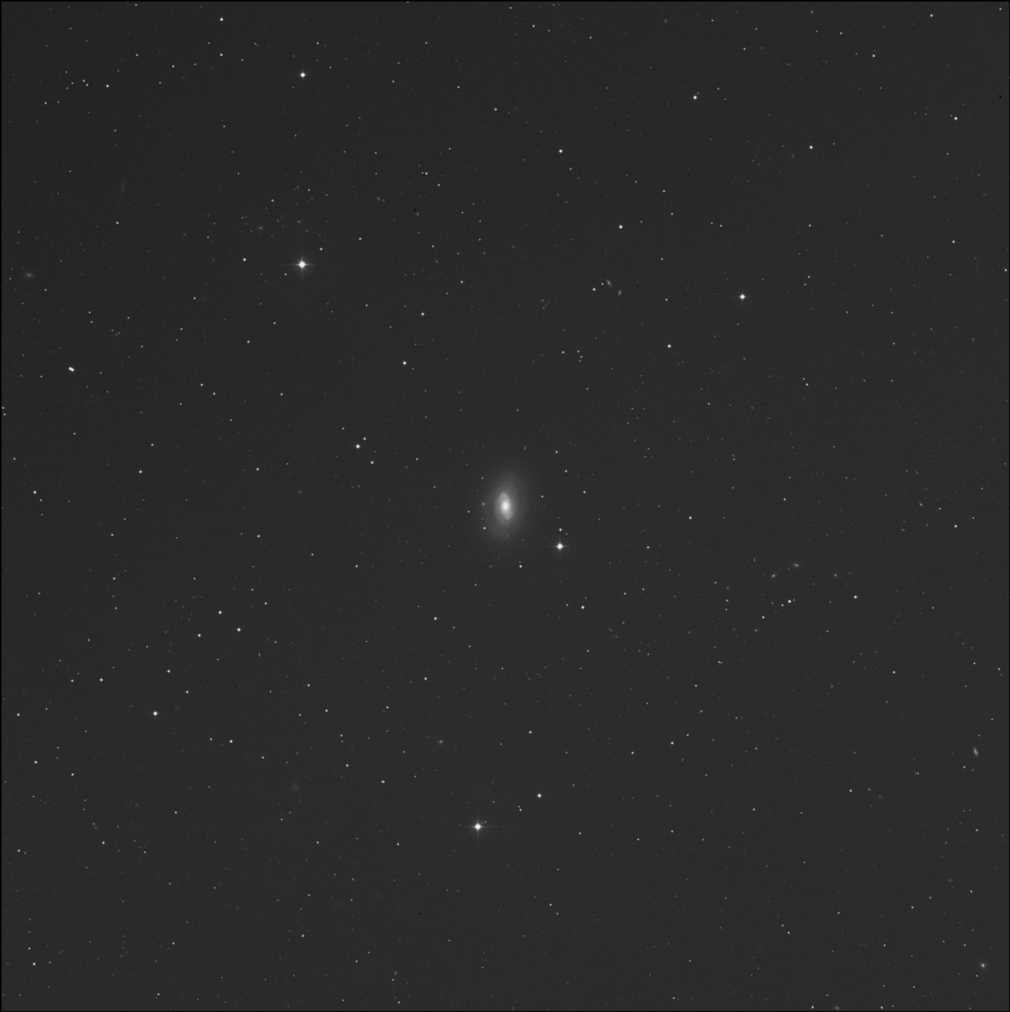 Galaxia del Cono de Luz