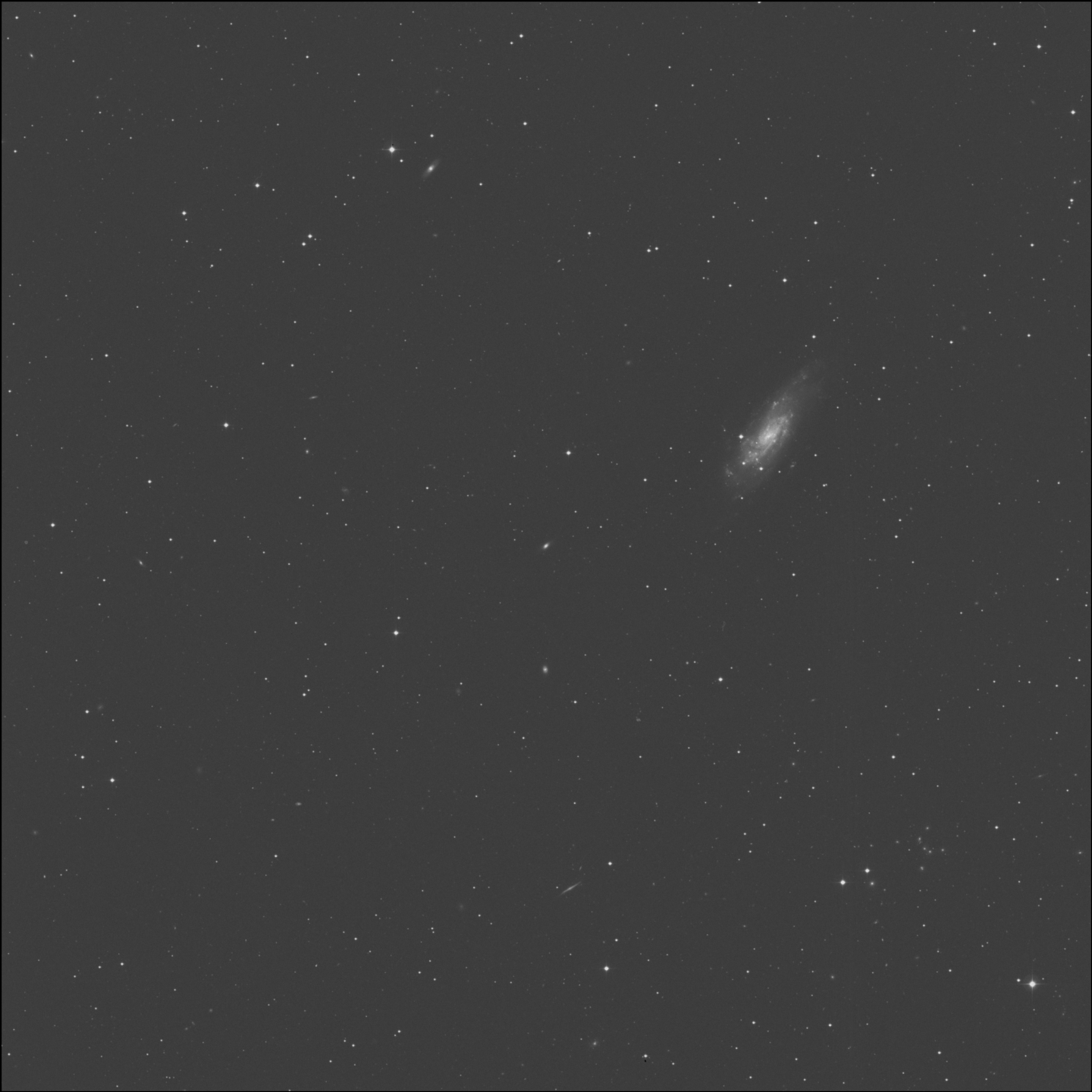 NGC 4559