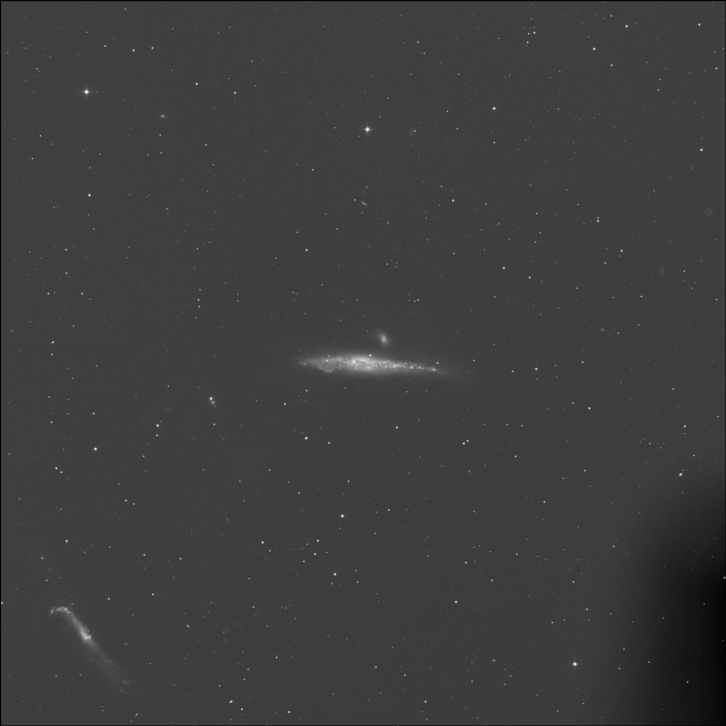 Galaxia de la Ballena