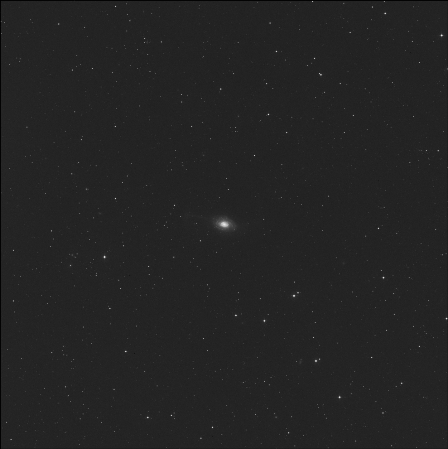 Galaxia del Paraguas