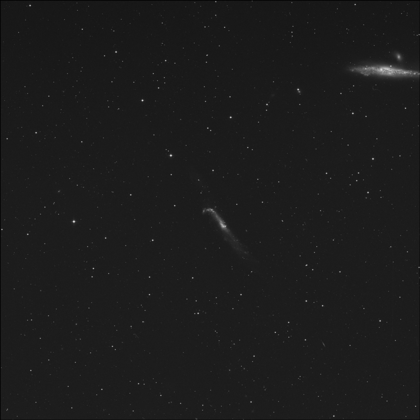 NGC 465602