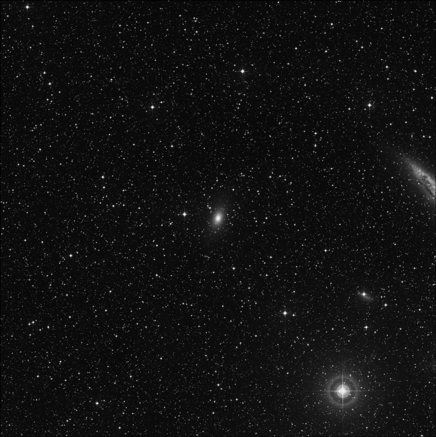 Galaxia del Murciélago