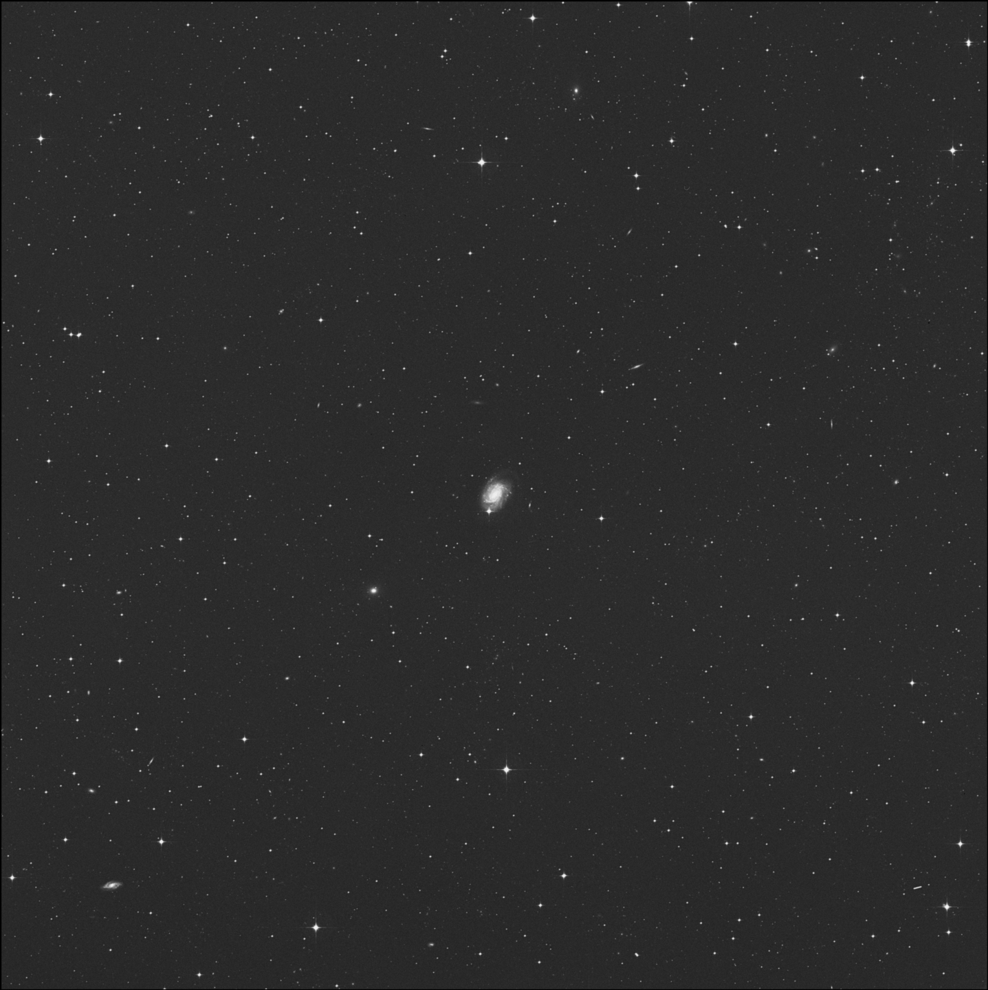 NGC 4981