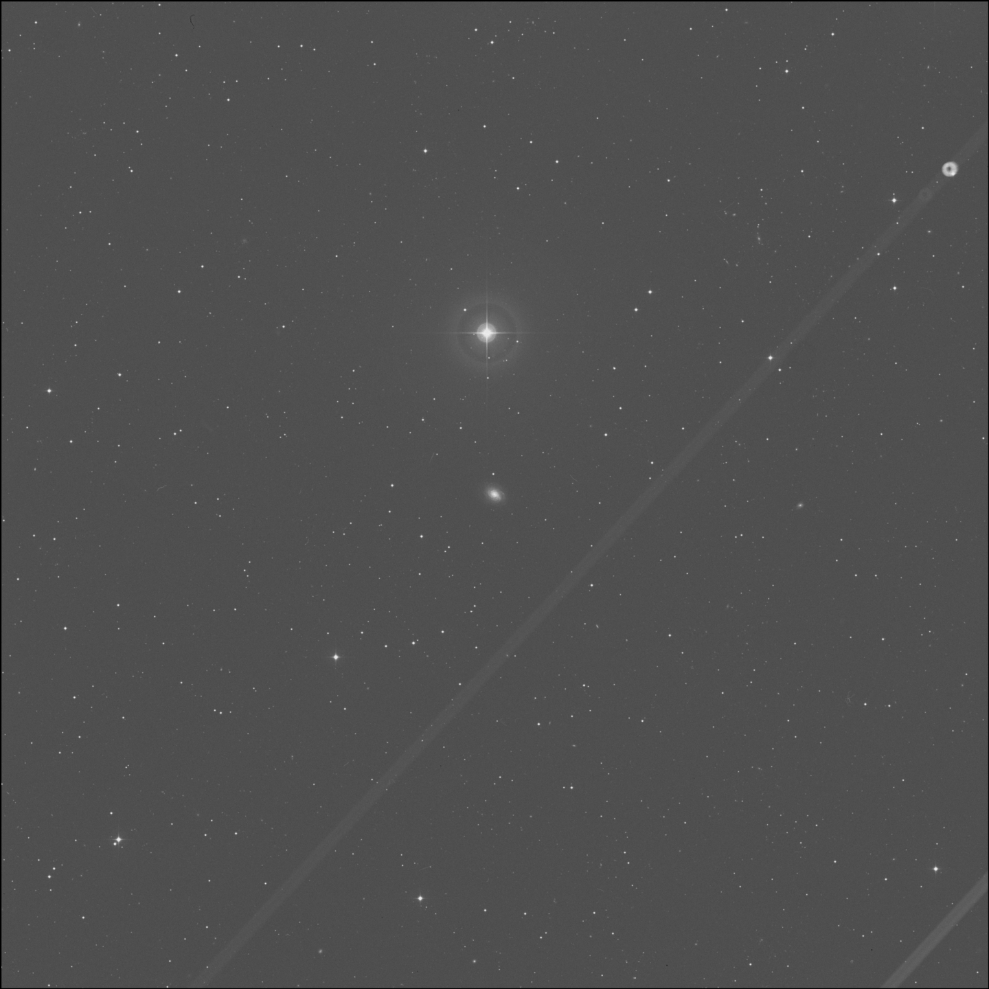 NGC 5016