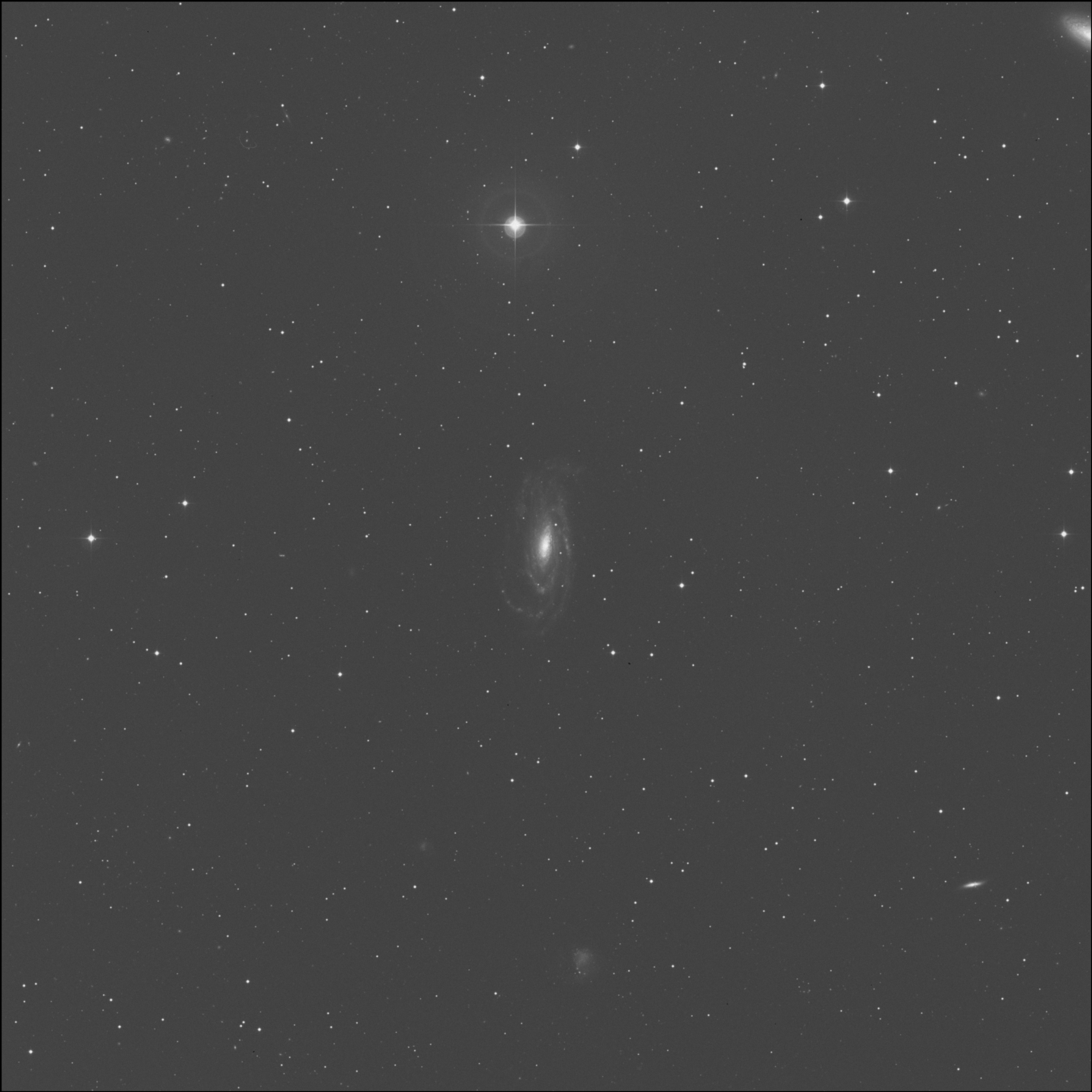 Galaxia del Vórtice