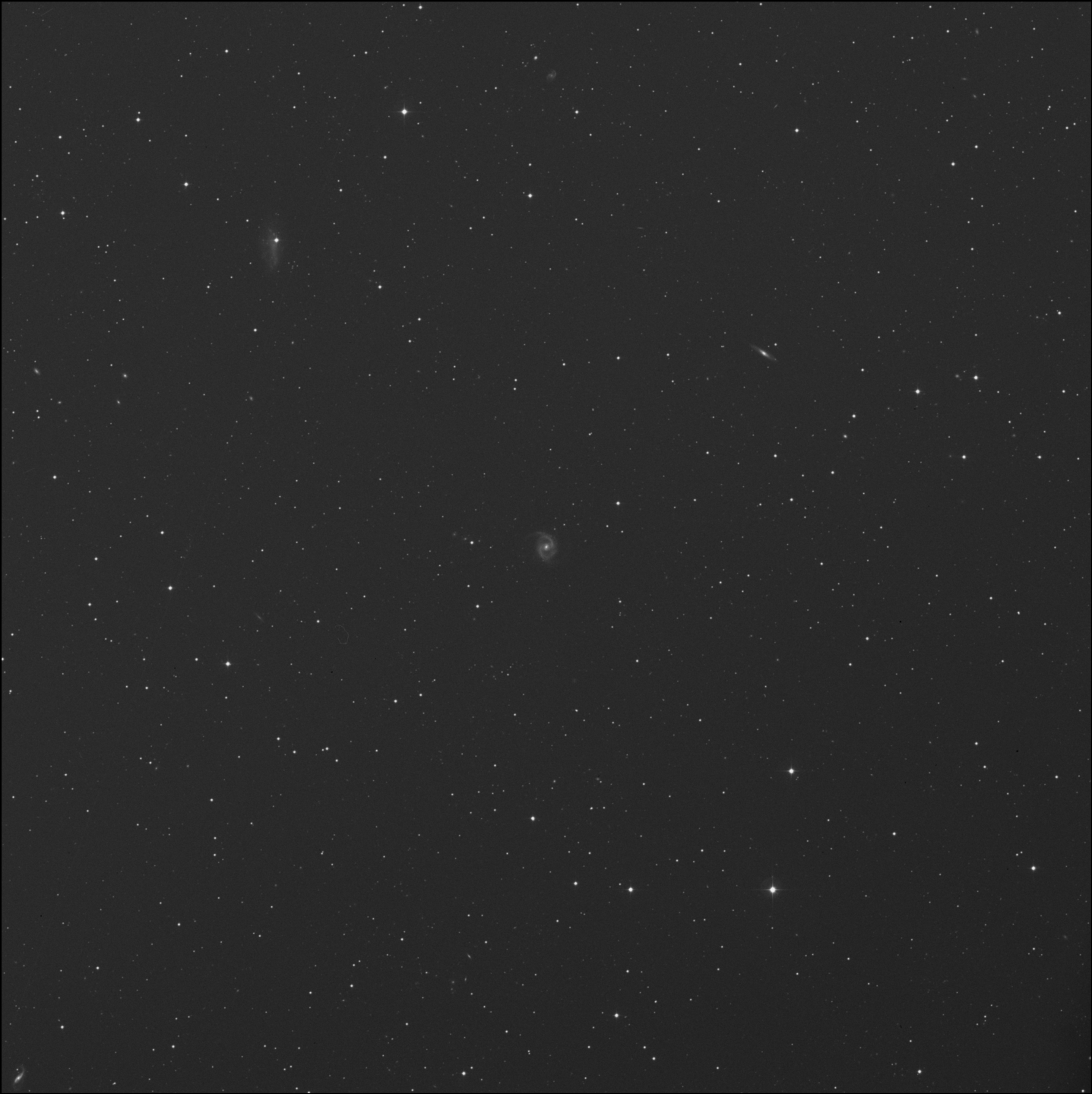 NGC 5239
