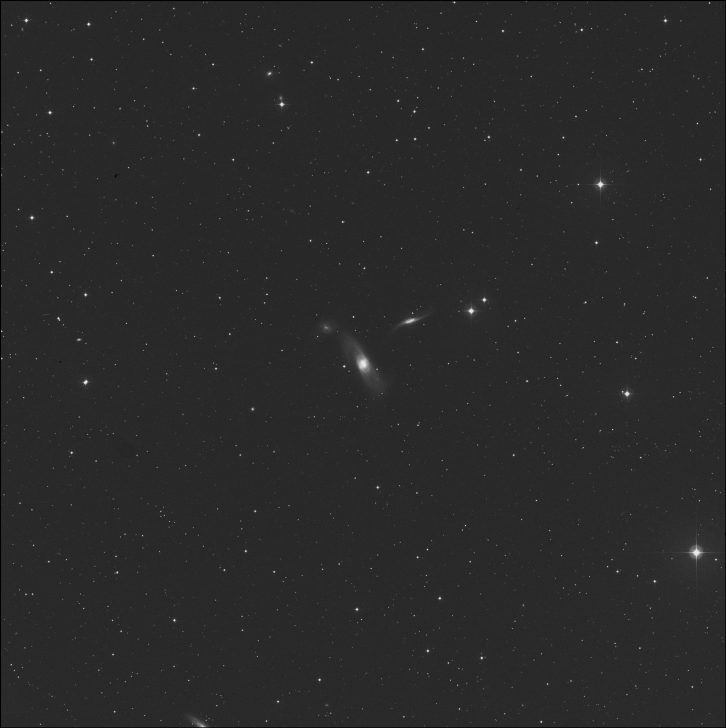 NGC 5566