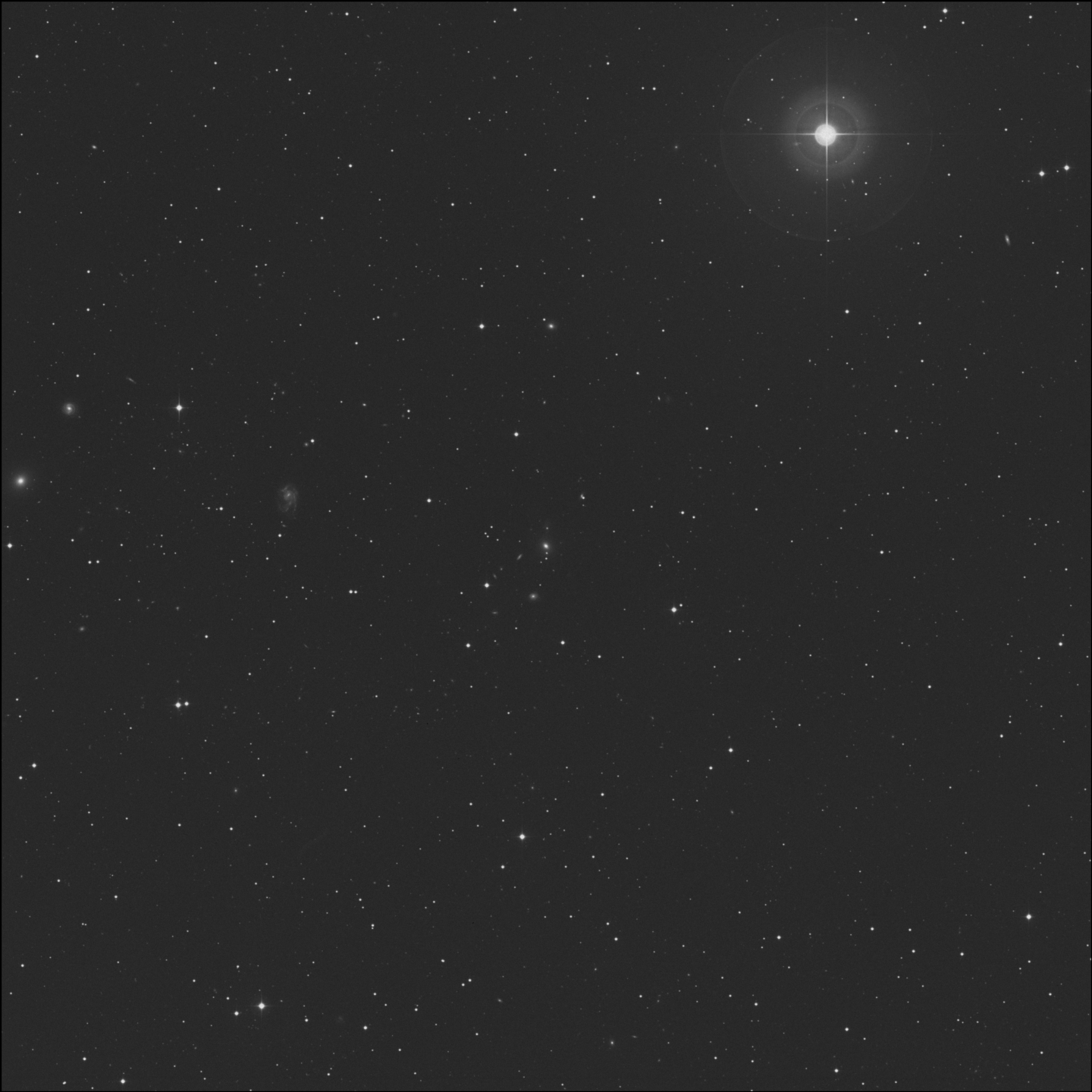 NGC 5567
