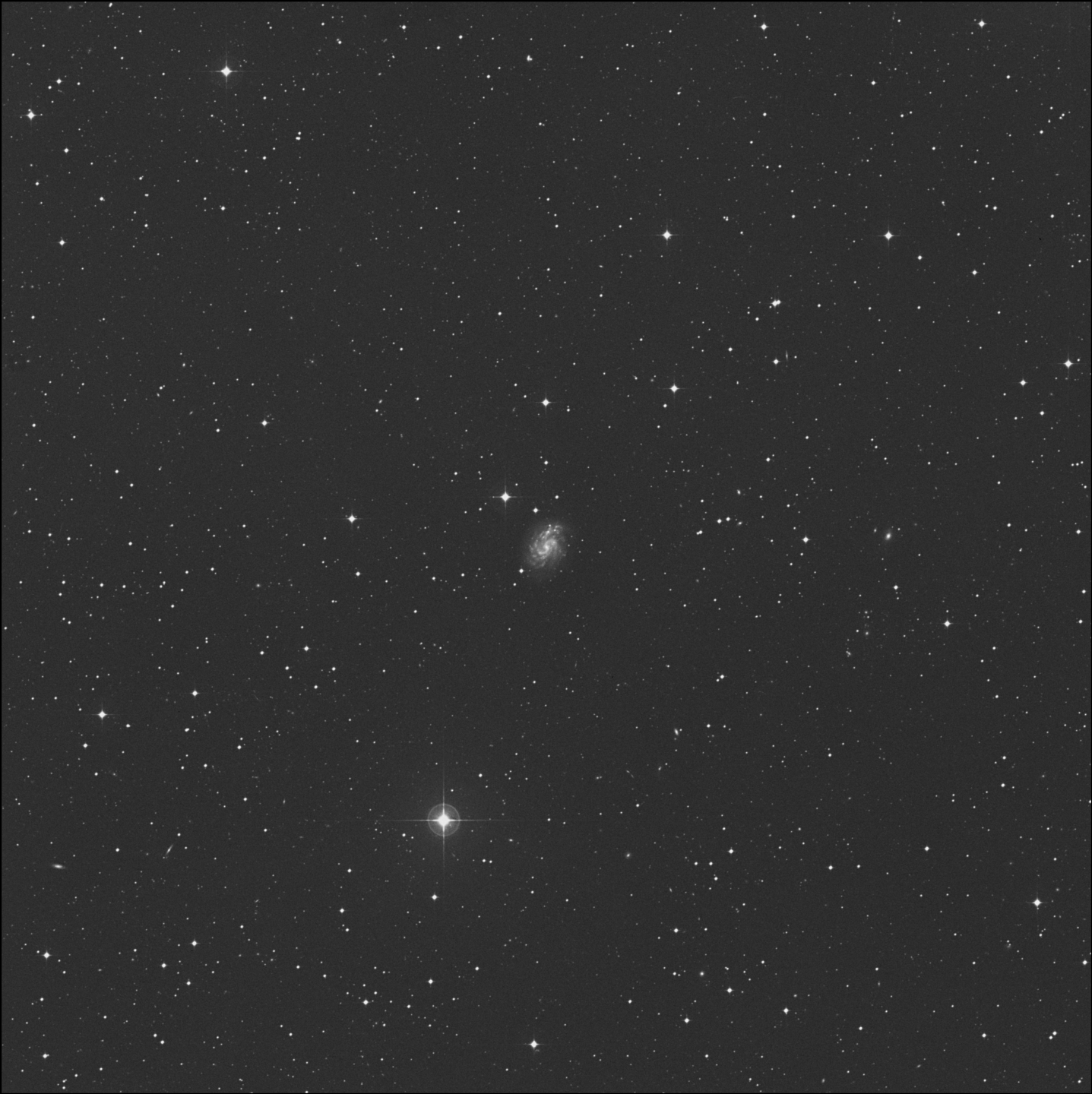NGC 5584