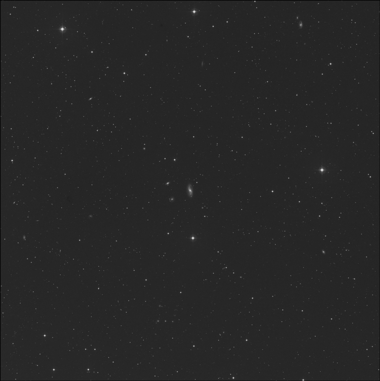 NGC 5619