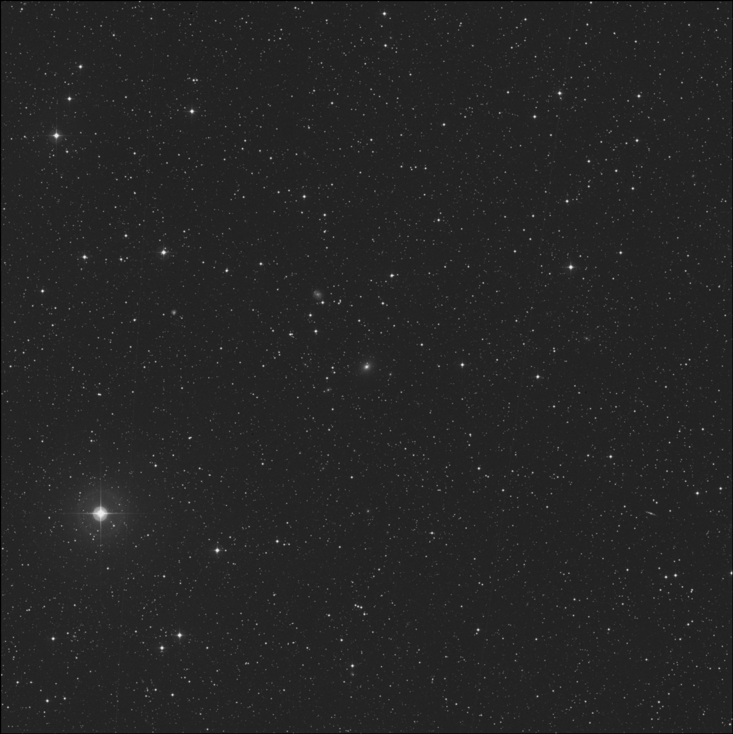 NGC 6442