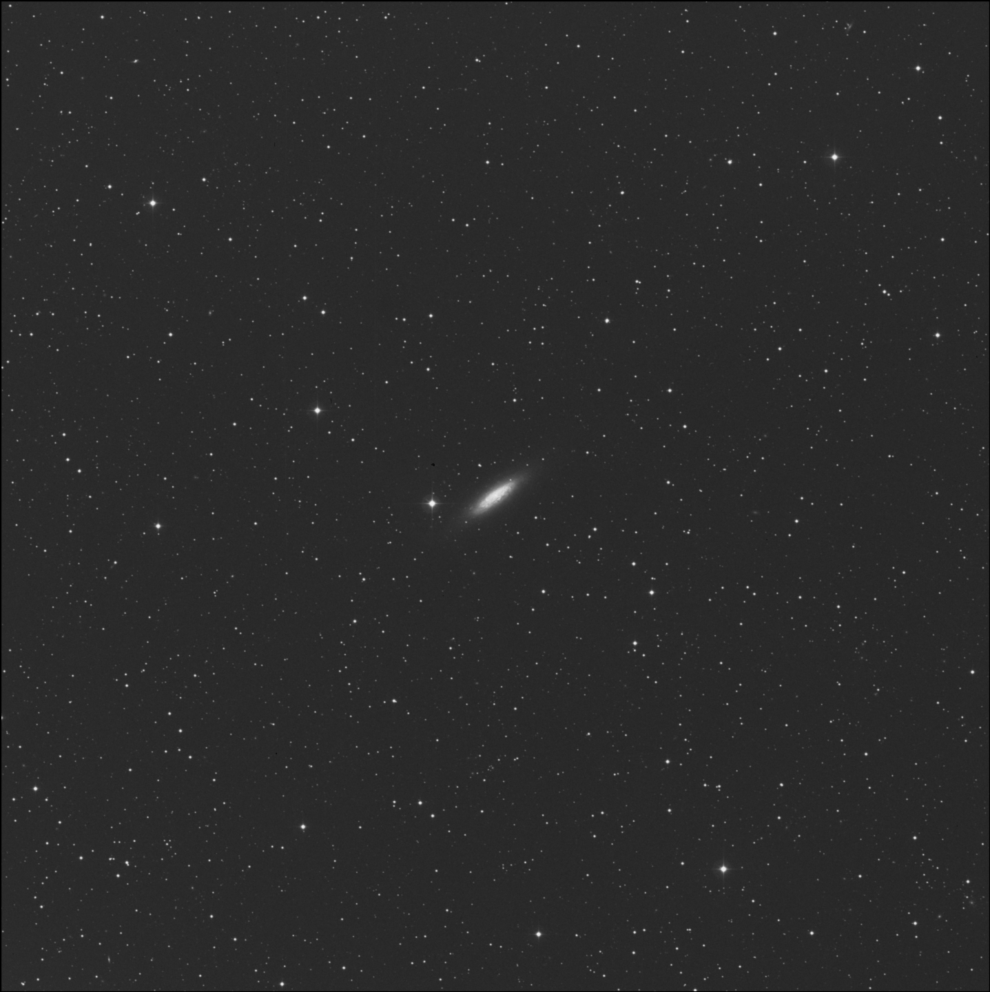 Galaxia del Vacío Local