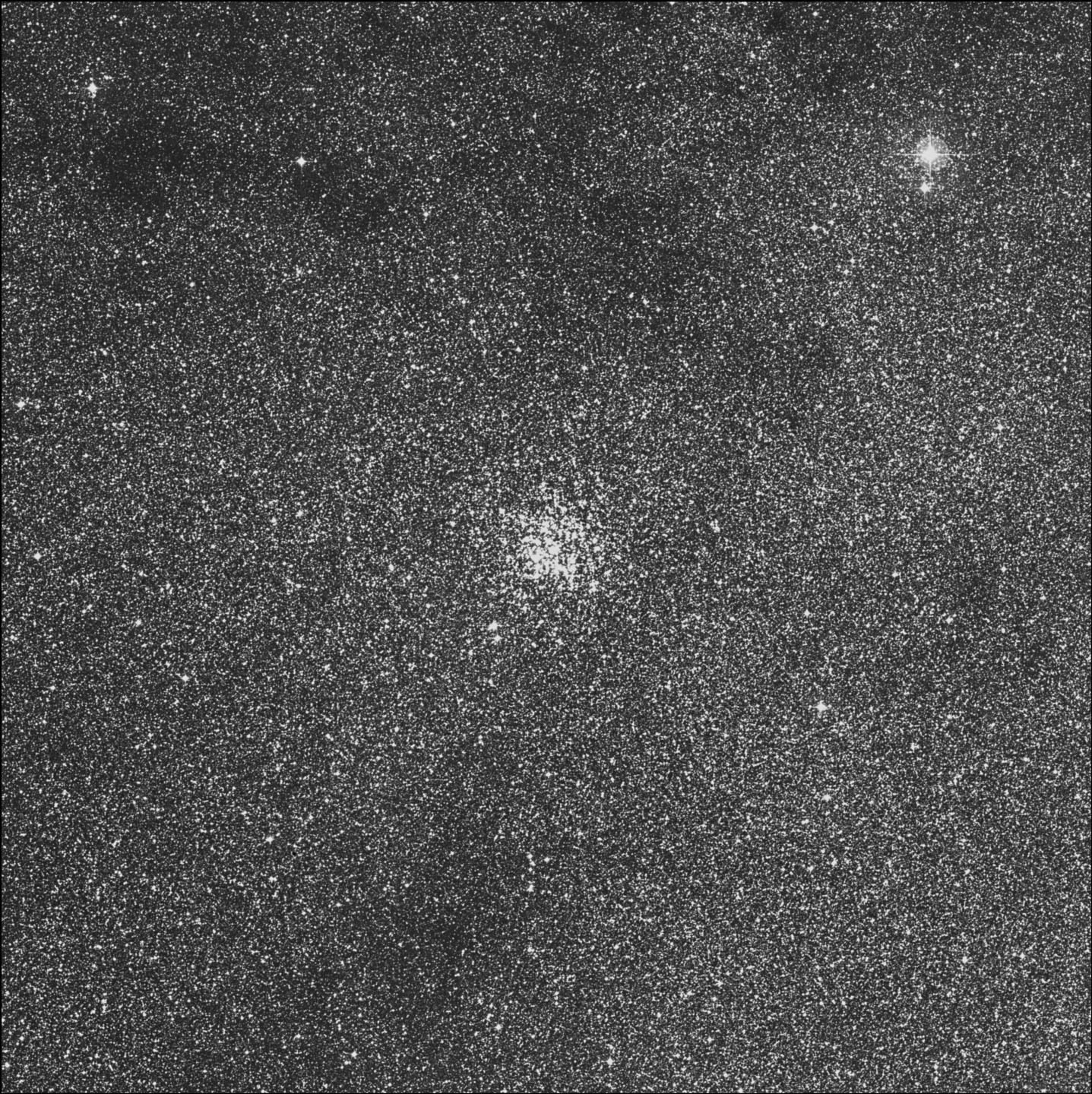 Amas de l'Ecu de Sobieski, Cúmulo del Pato Salvaje