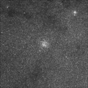 Amas de l'Ecu de Sobieski, Cúmulo del Pato Salvaje