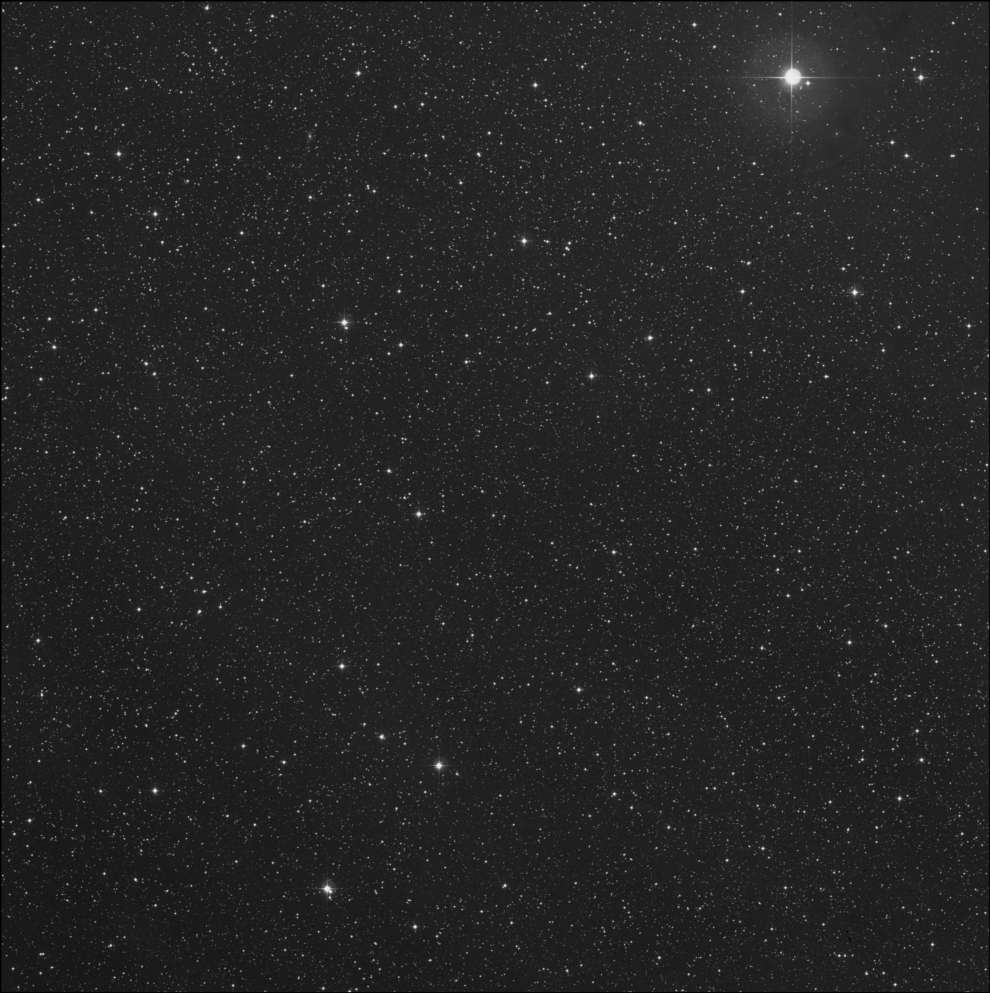 Nova Cygni de Schmidt