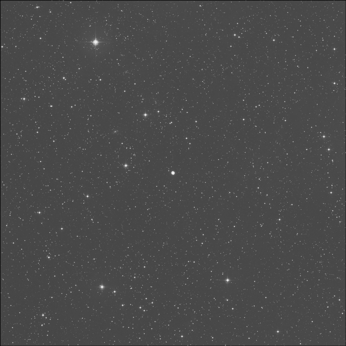 Bola de Nieve Azul de Copeland