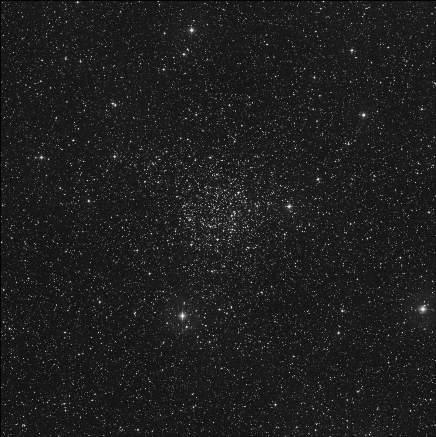 La Rosa de Carolina / Cúmulo de la Rosa Blanca