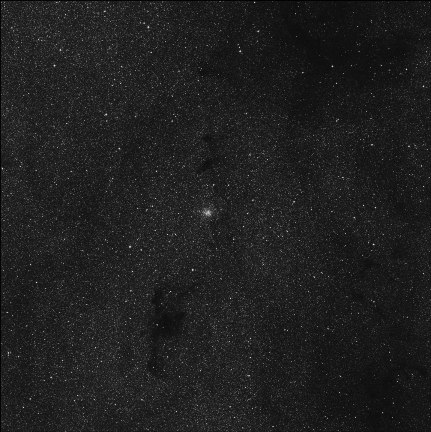 Barnard 81