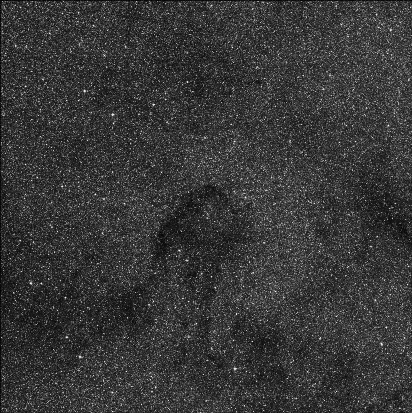 Barnard 87, Parrot's Head Nebula