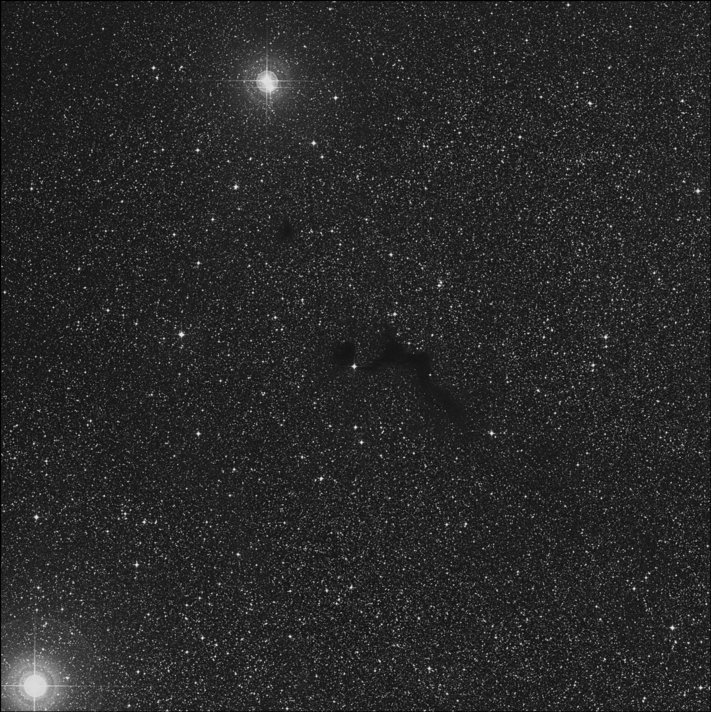 Barnard 132