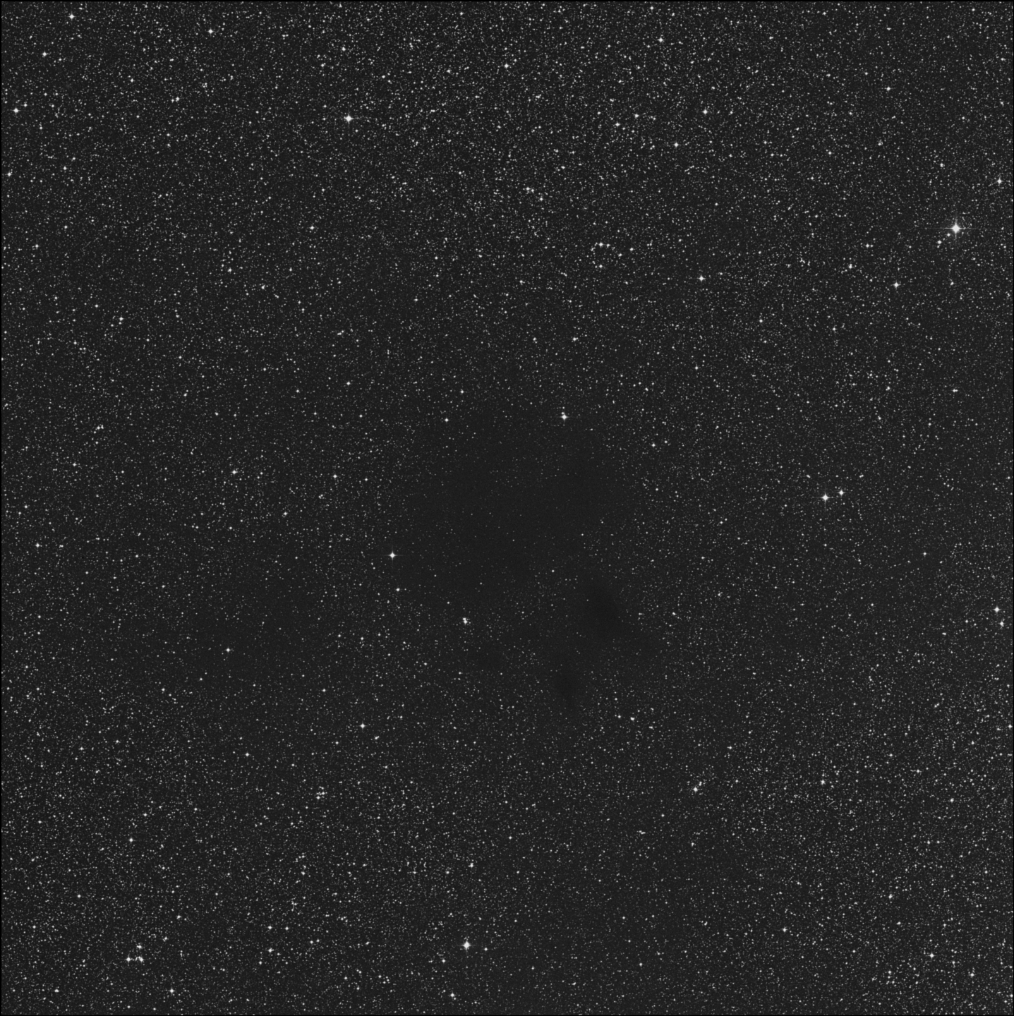 Barnard 135