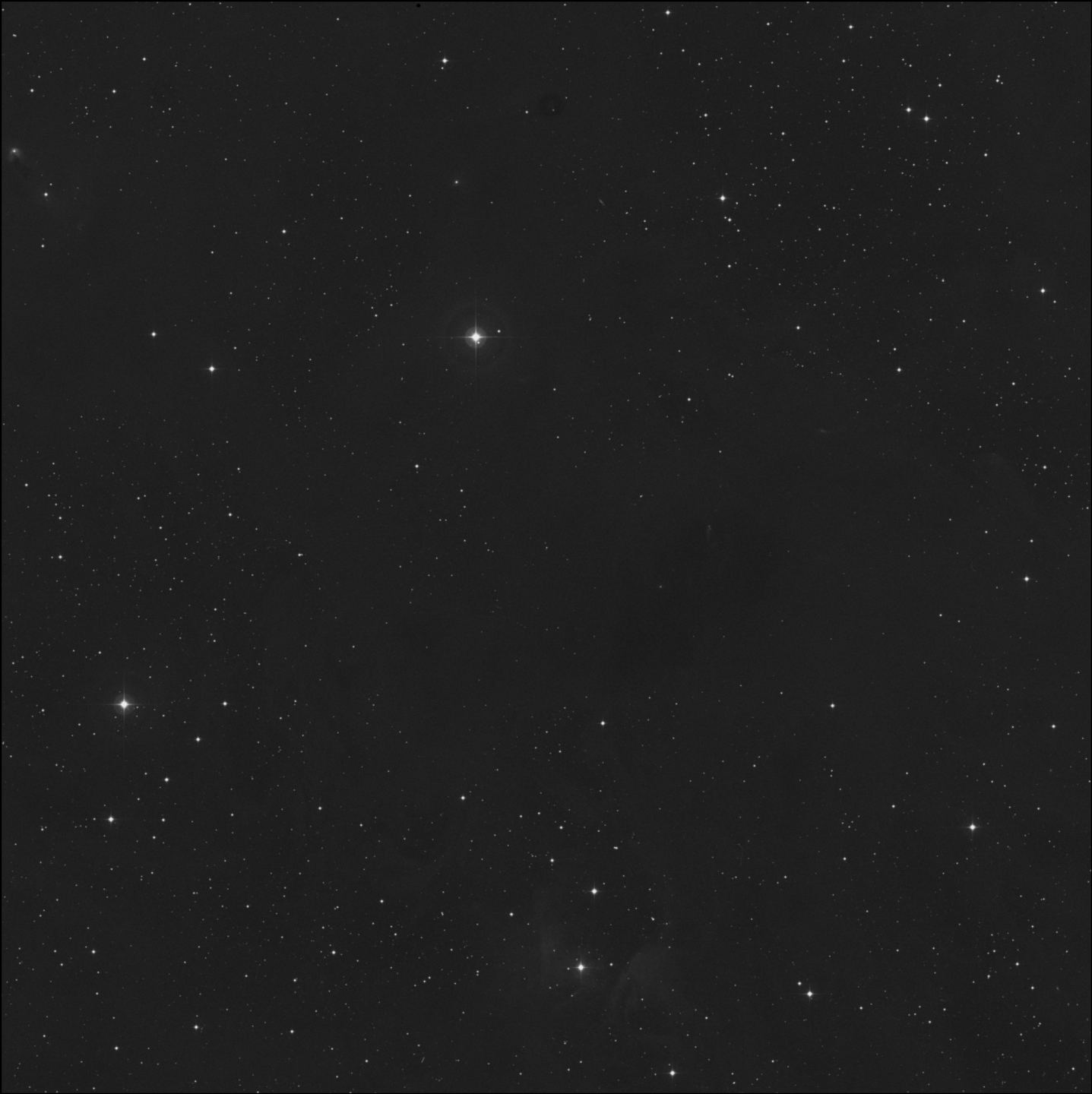 Barnard 204